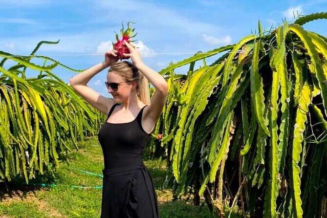 Cable Car Ride in Ta Cu Mountain And Lying Buddha in Mui Ne - The Itinerary Explored: Why Each Stop Matters