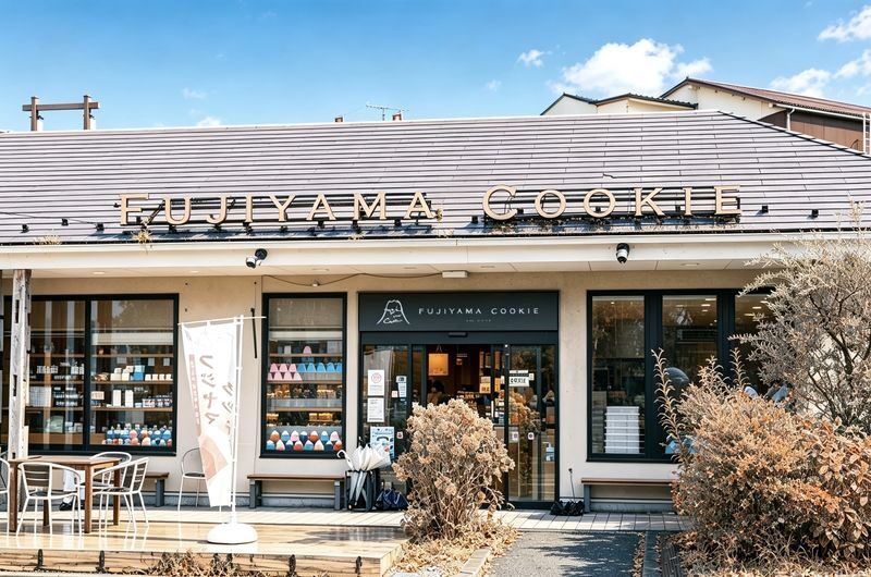 (Cable Car Ticket Included) Mt. Fuji & Lake Kawaguchiko Day Tour | Mt. Tenjo Park / Oshino Hakkai / Chureito Pagoda / Lawson Convenience Store | Off-Peak Travel (Departing from Tokyo) - Weather, crowds, and the return to Tokyo