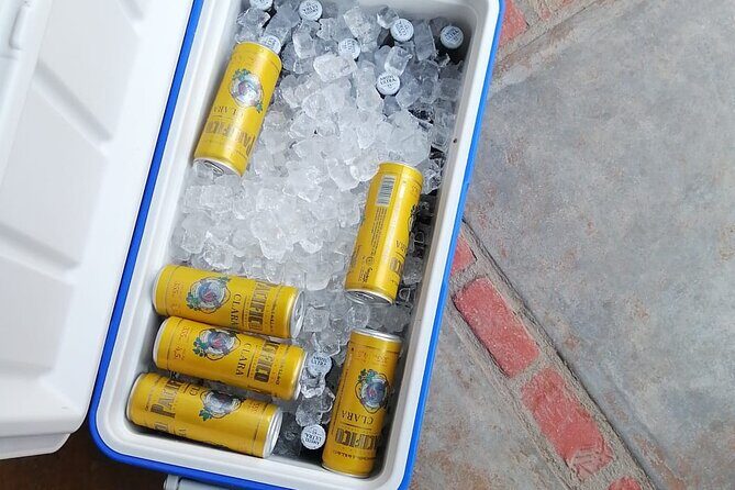 Cabo Airport to LA PAZ SHUTTLE - An In-Depth Look at the Cabo Airport to La Paz Shuttle Experience