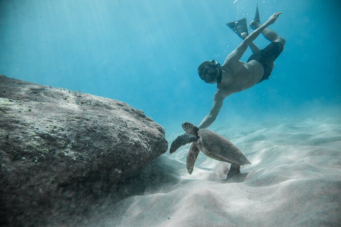 Cabo Arch & Snorkeling Tour - Common Questions