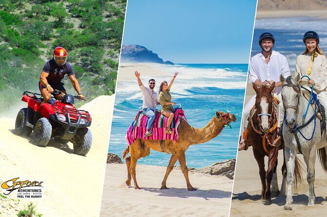 Cabo ATV Adventure with Camel and Horseback Ride - Introduction