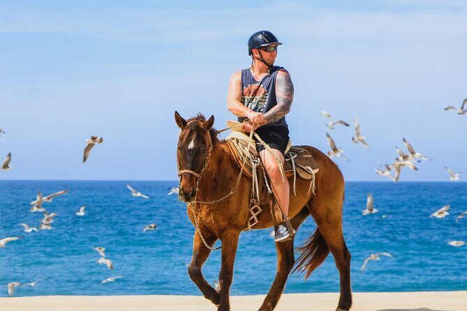 Cabo ATV Adventure with Camel and Horseback Ride - The Itinerary in Detail