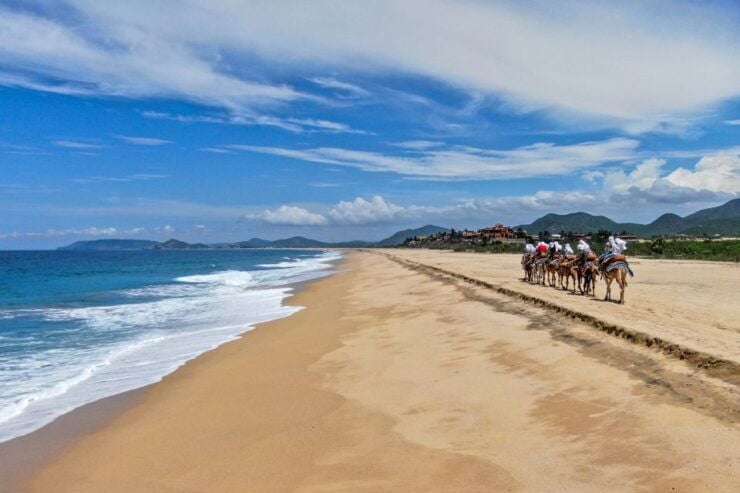 Cabo: ATV, Camel Ride, Mexican Lunch, and Tequila Combo Tour - Tour Overview