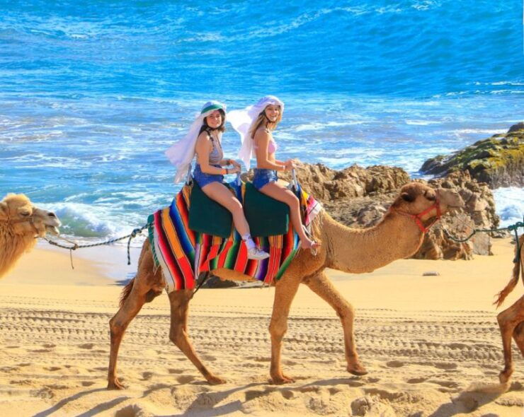 Cabo Beach: Desert Camel Tour With Mega Burrito & Tequila - Experience Highlights