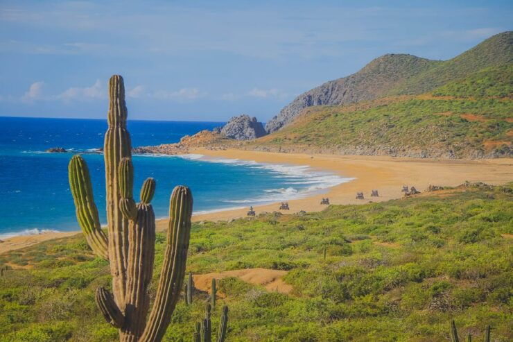 Cabo: Beach & Desert Single ATV Tour With Tequila Tasting - Tour Overview