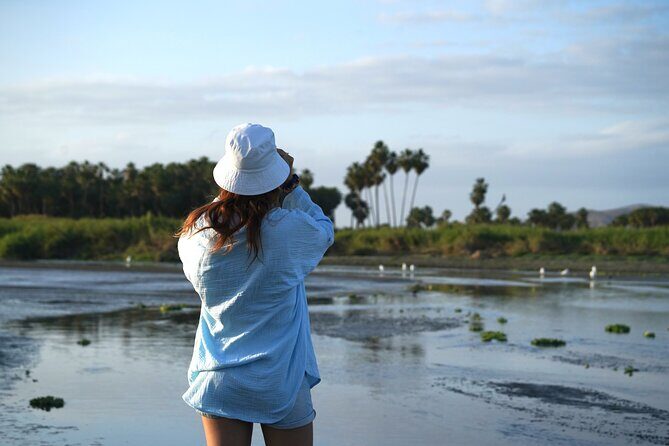 Cabo birding | Bird watching at bird sanctuary - Good To Know