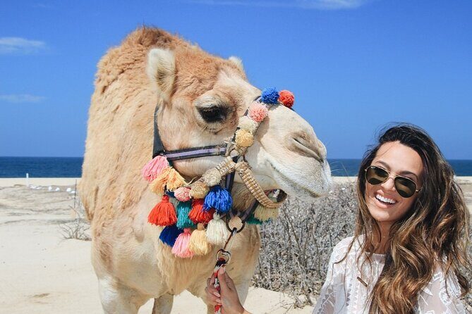 Cabo Camel Ride: Beach Safari, Tequila Tasting & Buffet - Good To Know