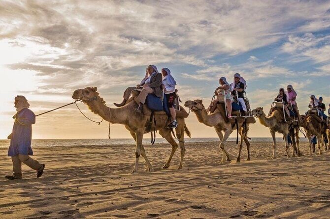 Cabo Camel Ride: Beach Safari, Tequila Tasting & Buffet - Transportation and Group Size