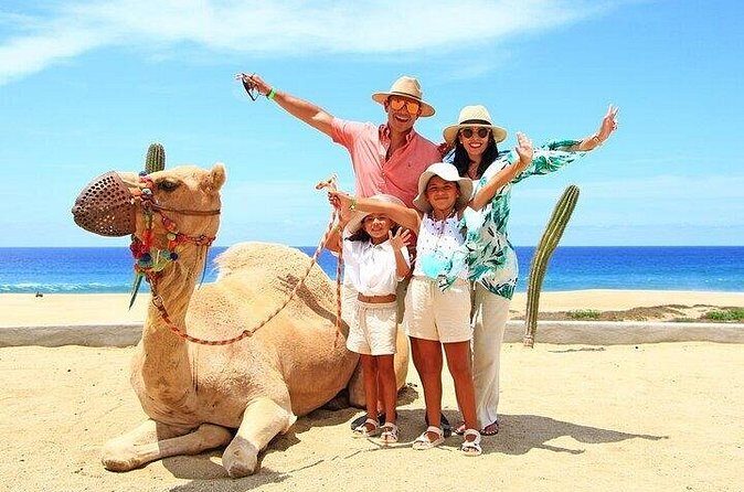 Cabo Camel Ride: Beach Safari, Tequila Tasting & Buffet - FAQ