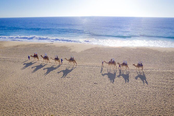 Cabo Camel Ride, Mexican Buffet and Tequila Tasting - Good To Know