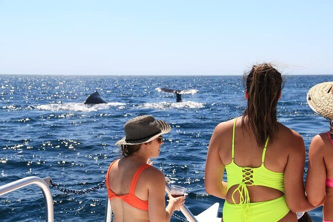 Cabo Catamaran  Snorkeling Tour & Coastal Views - Frequently Asked Questions  