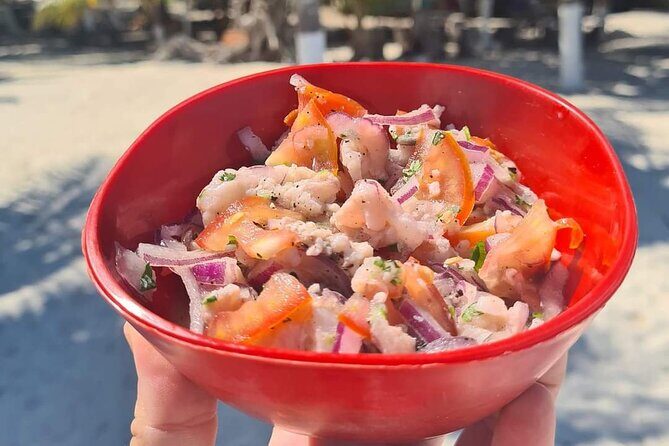 Cabo Catoche Tour with Fishing, Snorkeling and Ceviche - What Travelers Are Saying