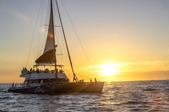 Cabo Cruise Sunset Adventure: Tacos, Margaritas & Sea Lions - Good To Know