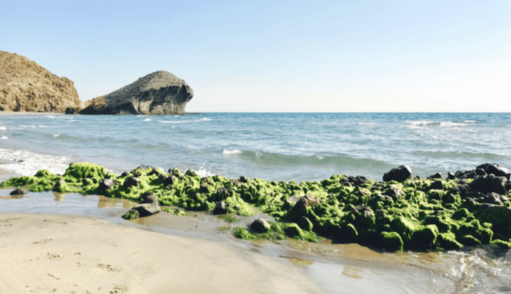 Cabo De Gata: 4x4 Tour Genoveses, Monsul and Gold Mines - Tour Highlights