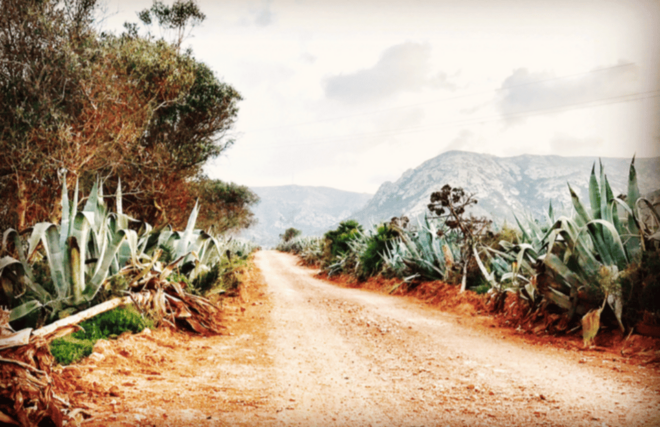 Cabo De Gata: 4x4 Tour Genoveses, Monsul and Gold Mines - Preparation and Requirements