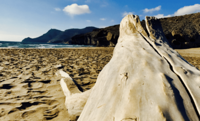 Cabo De Gata: 4x4 Tour Genoveses, Monsul and Gold Mines - Customer Feedback