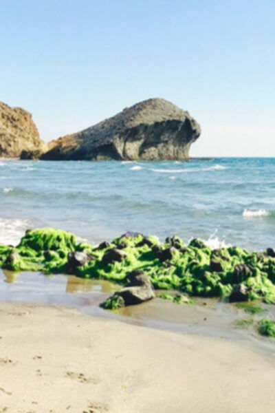 Cabo De Gata: 4x4 Tour Genoveses, Monsul and Gold Mines - Discovering Los Albarcoques Village