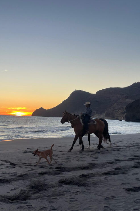 Cabo De Gata: Genoveses Beach on Horseback. - Experience Highlights