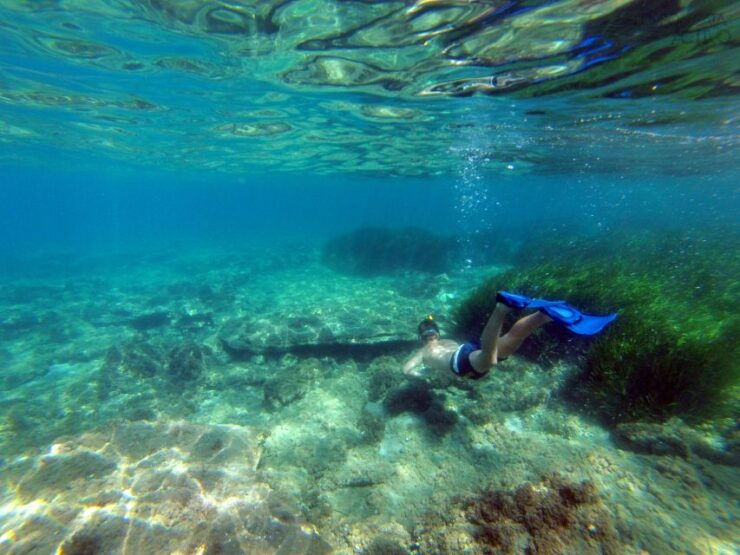 Cabo De Gata: Natural Park Kayaking and Snorkel Excursion - Booking Information