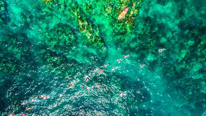 Cabo Escape Breakfast Snorkel Cruise - What To Expect