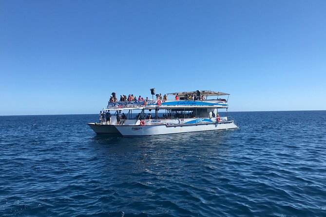 Cabo Escape Snorkel Fun Cruise - Safety and Regulations
