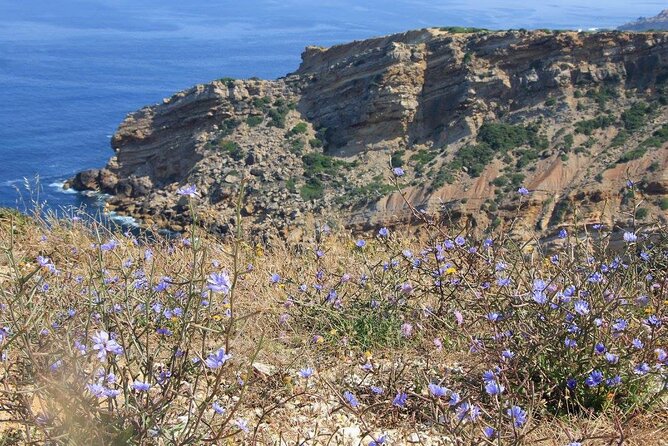 Cabo Espichel Jeep Tour With Visit to the Dinosaur Footprints - Frequently Asked Questions