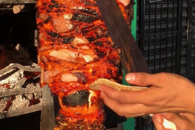 Cabo Food Tasting Experience with ARCH Boat Tour INCLUDED - Who Will Enjoy This Tour?