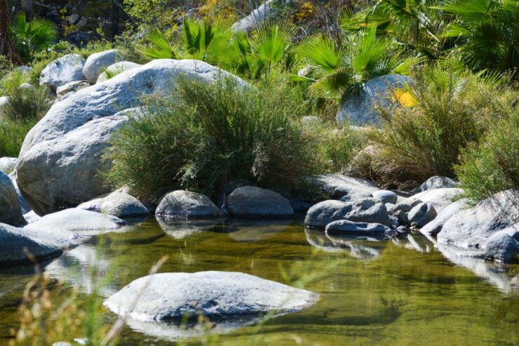 Cabo: Fox Canyon Private Hiking Tour - Tour Highlights and Requirements