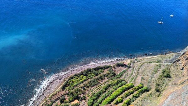 Cabo Girão: Immersive Private Tour - Frequently Asked Questions