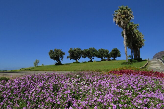 Cabo Girão Sea Cliff and Mountains 4WD Experience - Highlights of the 4WD Adventure