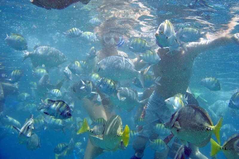 Cabo Highlights Tour in Mexico - Santa Maria Bay: know what the snorkeling means