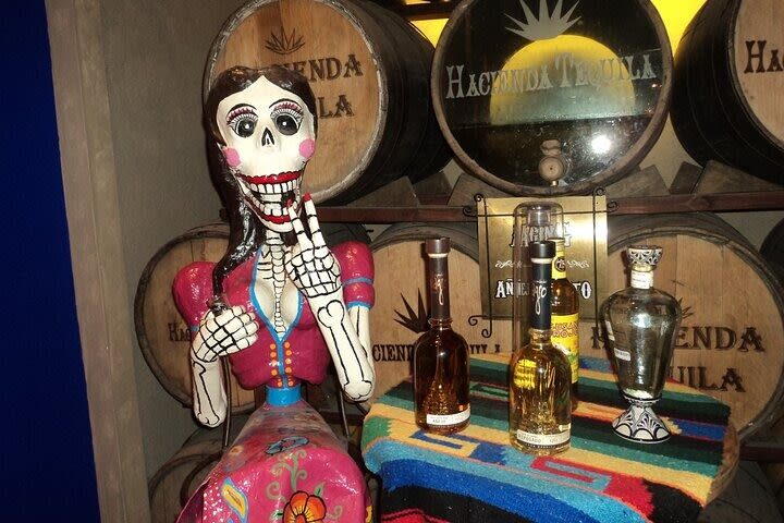 Cabo Highlights Tour in Mexico - What the price includes, and what it does not