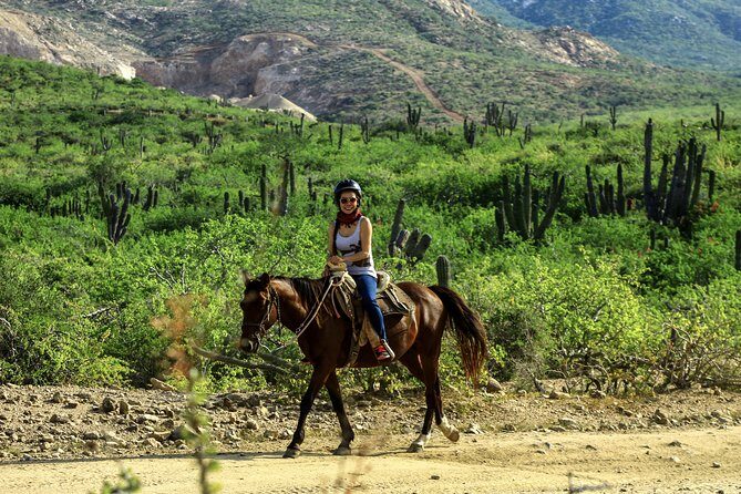 Cabo Horseback Riding on Migriño Beach - FAQ: Your Practical Questions Answered