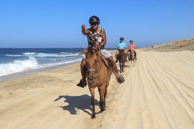 Cabo Horseback Riding on Migriño Beach - Final Thoughts