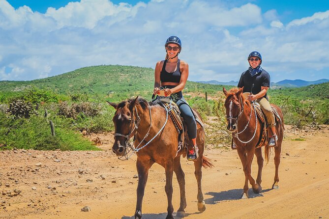 Cabo Horseback Riding on Pacific Beach and Desert - Traveler Photos and Reviews