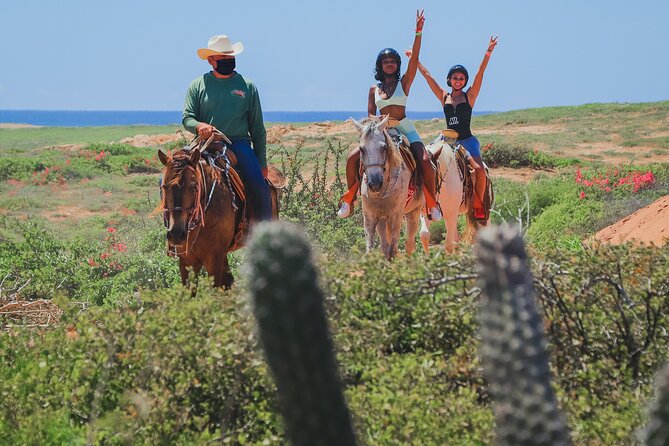 Cabo Horseback Riding on Pacific Beach and Desert - Pricing and Viator Information