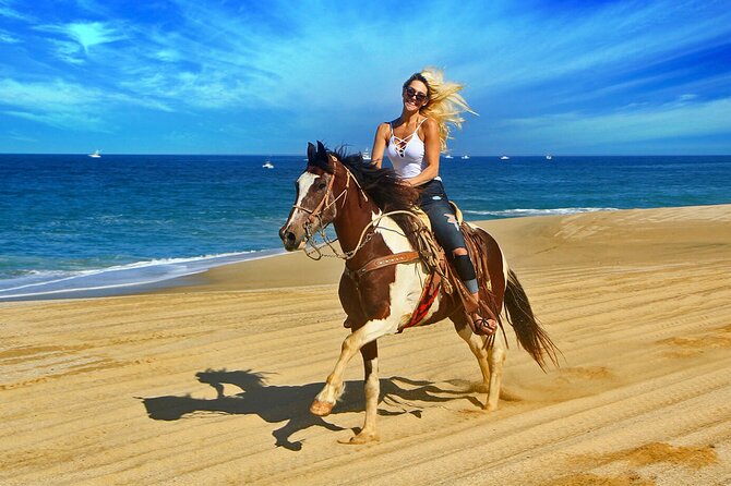 Cabo Horseback Riding on Pacific Beach and Desert - Scenic Views and Sunset Rides