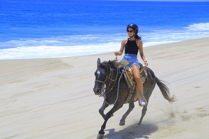 Cabo Horseback Riding on Pacific Beach and Desert - Directions and Booking Information