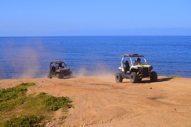 Cabo Migrino Beach & Desert Tour (Single UTV) - Tour Overview and Features