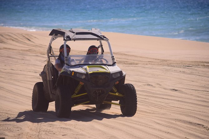 Cabo Migrino Beach & Desert Tour (Single UTV) - Expectations and Requirements