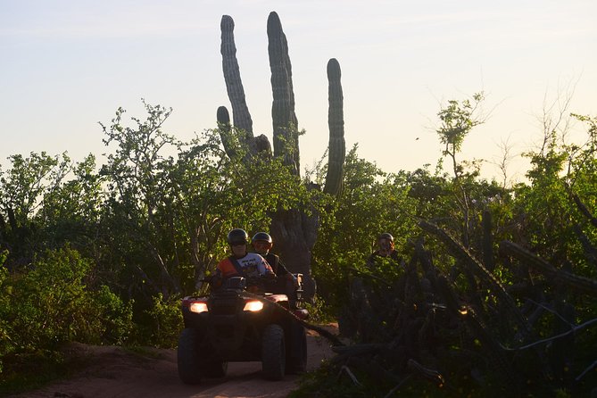 Cabo Original Real Baja 1000 Tour (Double ATV) - The Sum Up