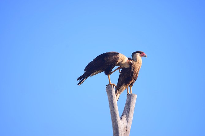 Cabo Original Real Baja 1000 Tour (Single ATV) - Expectations and Requirements