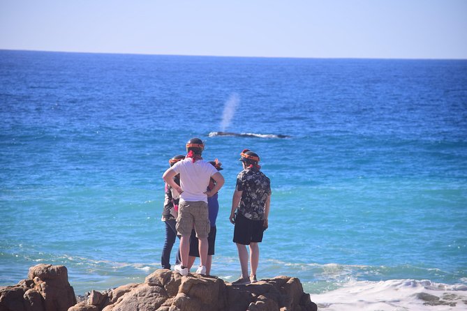 Cabo Original Real Baja 1000 Tour (Single ATV) - The Sum Up