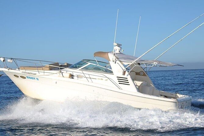 Cabo Private 36ft Yacht  Scenic Cruise & Relaxation - Discover the Charm of Cabo on a Private 36ft Yacht Scenic Cruise & Relaxation