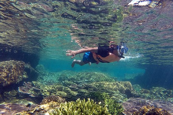 Cabo Pulmo National Park Snorkel Expedition From Cabo San Lucas - Overview and Details