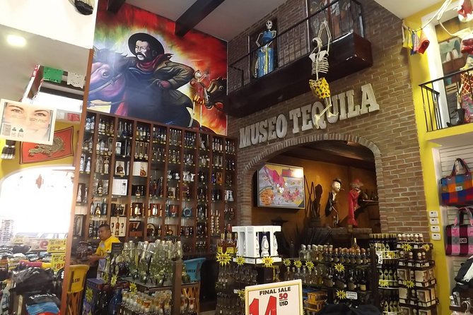 Cabo San Glass-Bottom Boat Lucas Boat Tour - Cabo San Lucas - The Sum Up