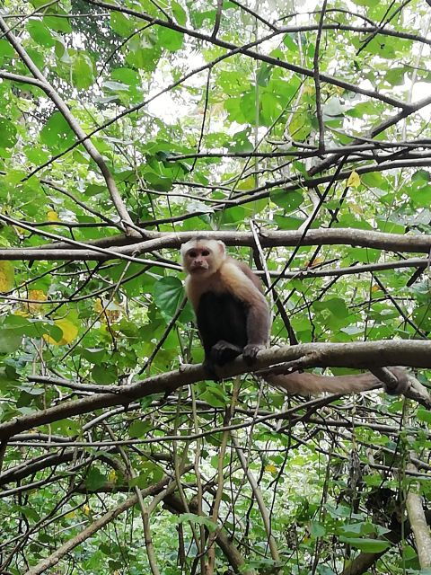 Cabo San Juan Day Tour - Location Information