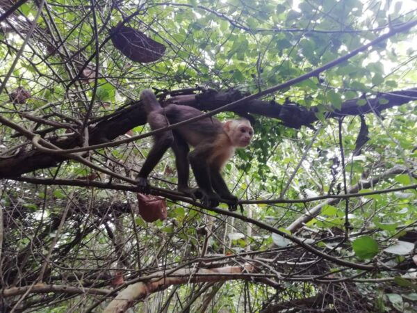 Cabo San Juan Day Tour - Booking and Contact Details