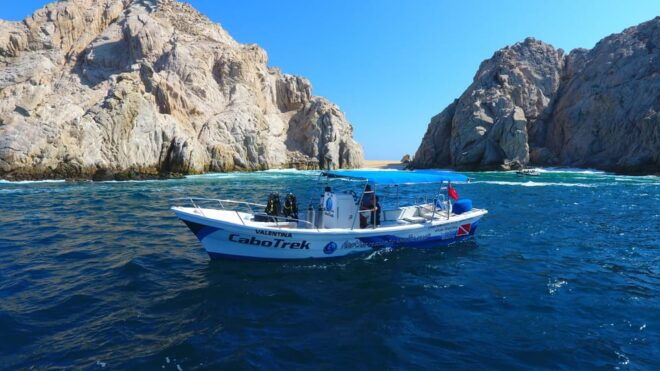 Cabo San Lucas: 2.5-Hour Whale Watching Tour - Customer Reviews and Ratings