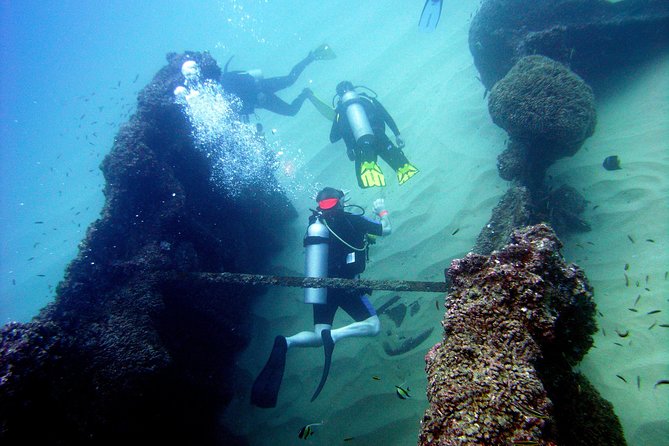 Cabo San Lucas 2 Tank Customized Dive Certified Only - Meeting and Pickup